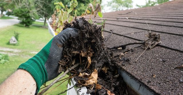 Clearing gutters in Athlone